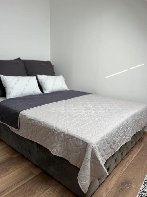 Willstaett Apartment 50M2 المظهر الخارجي الصورة